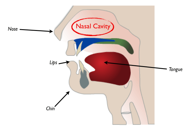 Brazilian Nasal Vowels